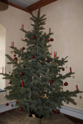 tg_111224.jpg
