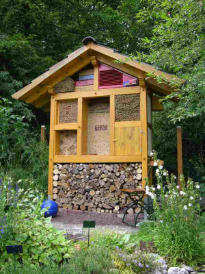Bienenwand.jpg