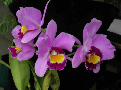 DSCN3080.JPG