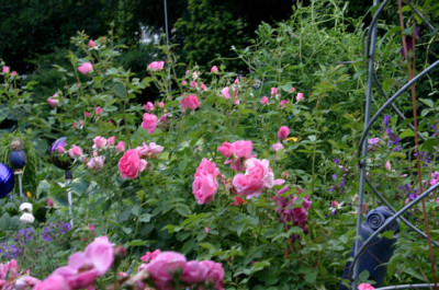 Rose_Hyde_Hall00107a.jpg