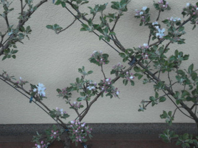 DSC00214.JPG
