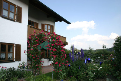 Rose_Laguna0310a.jpg