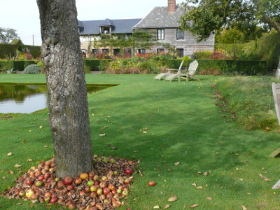 jardin_plume.JPG