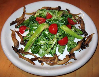 IMG_4783_Feldsalat_mit_Austernpilzen.jpg