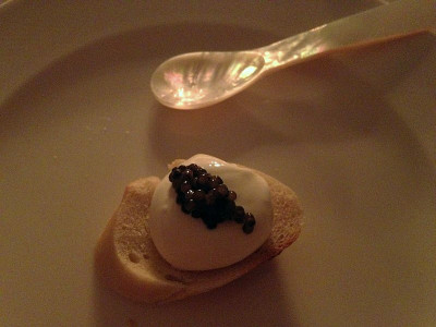 silvester2011_ossietra_zg.jpg