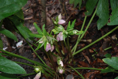 B9454a_Small.jpg
