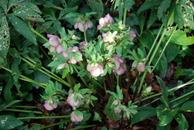 B9466_Small.JPG