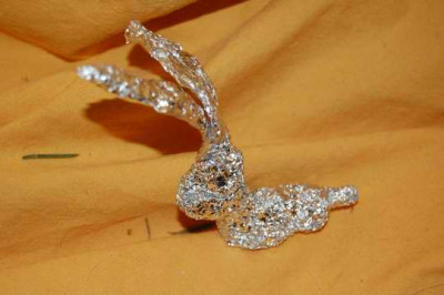 hase_5452.JPG