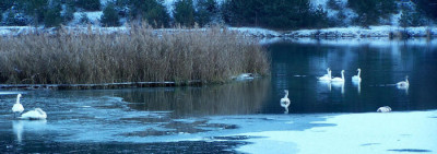 100_5346.jpg