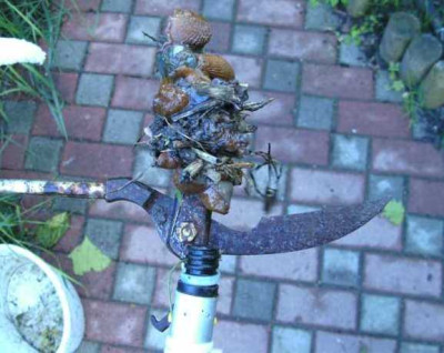 K640_Kopie_von_BILD3581.JPG