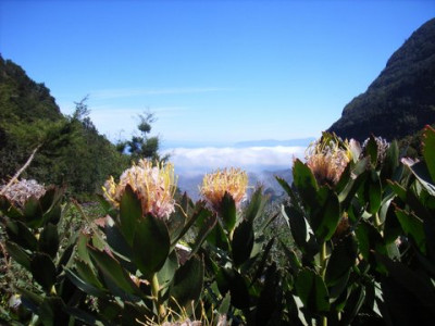 250306_La_Gomera_27.JPG