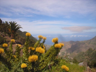 250306_La_Gomera_51.JPG