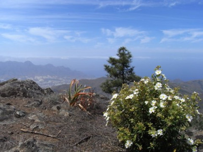 R0010570.JPG