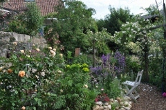 Rosen_2011__5324_.jpg