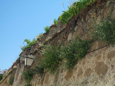 110515_012a.jpg