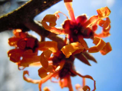 12.jan.2012_011.JPG