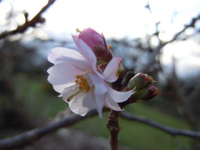 12.jan.2012_032.JPG