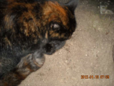 DSCN0252.jpg