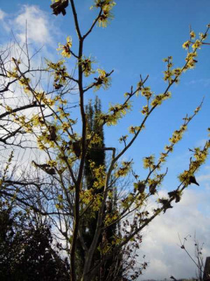 12.jan.2012_005.JPG