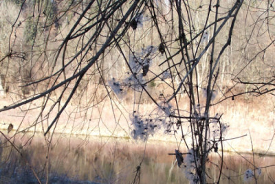 100_5433.jpg