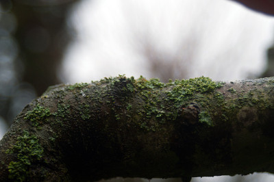 y_DSC5326.jpg