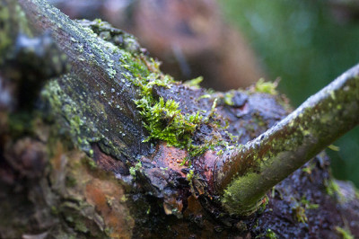 y_DSC5327.jpg