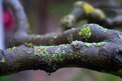 y_DSC5330.jpg