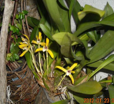DSCN0262.jpg