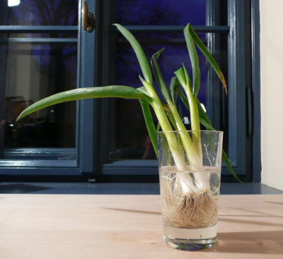 ernte_120124.jpg