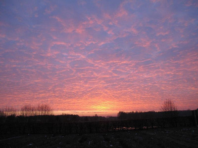 Guten_Morgen_27.1.12_ue.jpg