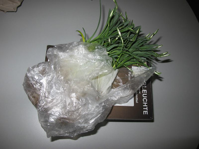 Polychthonie_27.1.12_ue.jpg