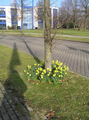 businesspark280112-3kl.jpg