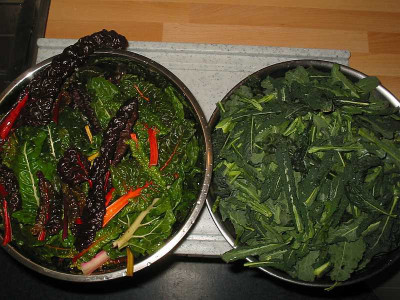Ernte_29.01.12.jpg