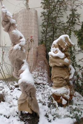 Frierlinge_2212__9438.jpg