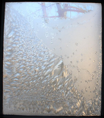 tb_120202_5.jpg