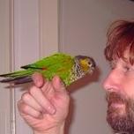 ZauselVogel.jpg