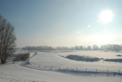 B9676_Large.JPG