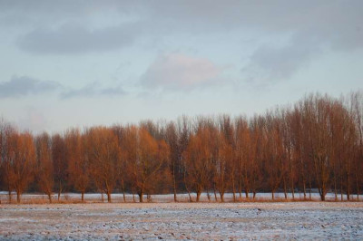 Graben_vorm_Pappelwald_5733.JPG