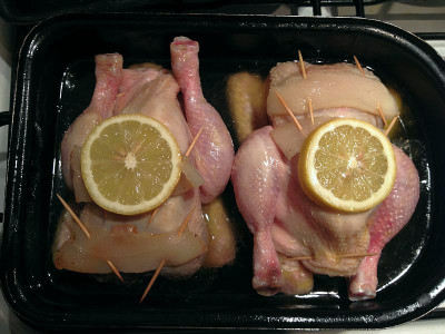 zitronenstubenkueken_20120205_zg.jpg