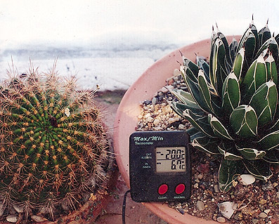 q101.jpg
