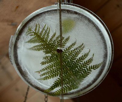 eislicht_feb_farn2.jpg