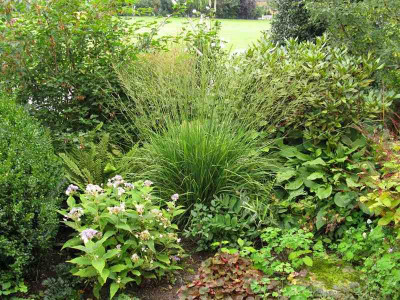 Vorgarten_Mitte_1_Gartenpur.jpg