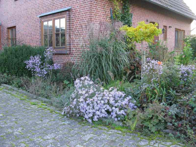 Vorgarten_rechts_1_Gartenpur.jpg