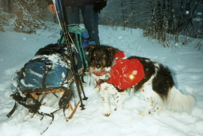 sherpa_dickie_schnee_1.jpg