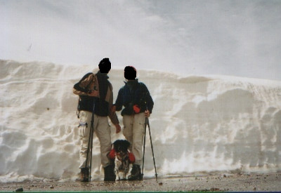 Veleta_Dickie.jpg