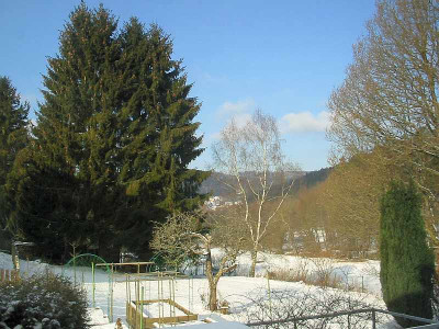 Sonne_11.02.12.jpg