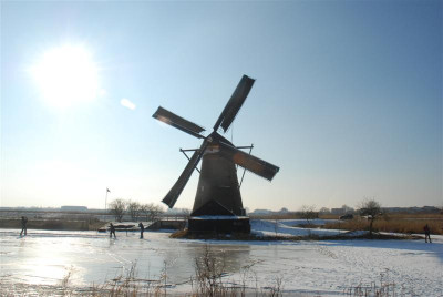 B9830_Medium.JPG