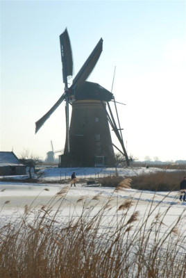 B9822_Large.JPG