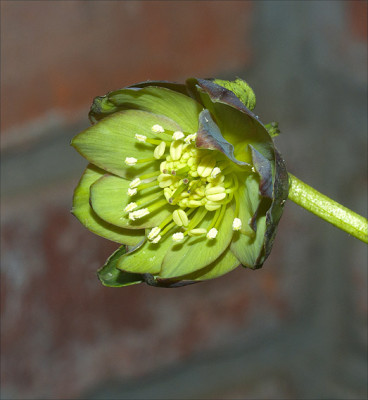 a_DSC5643.jpg