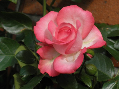 099_625x617_79KB.jpg